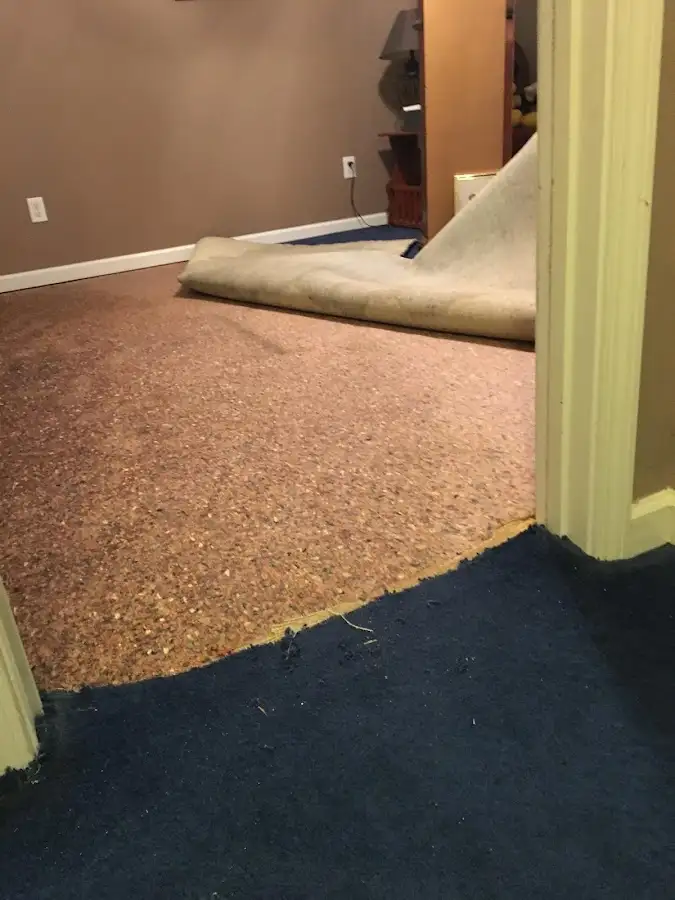 Carpet pad removal revealing water damage during Drying & Dehumidification in Lauderdale Lakes